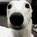 luxuslux