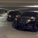 spikesthacat