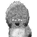 thecolordog