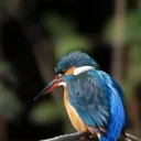 ramirezfino.