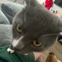 fittedbycrok