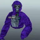 lelandvr123 avatar