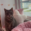 avatar trinity⛥♰