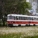sillytatra member profile picture