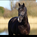 avatar Bikkeltjee💞