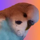 callmeviiru