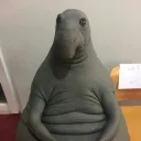 notcanadianluke