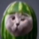 avatar ▓▓▓▓▓▓▓▓▓▓▓▓▓▓▓▓▓▓▓▓▓▓▓▓