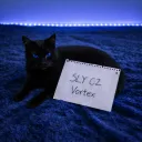 vortex_the_real
