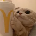 cozyrn.