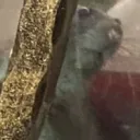 kazukazi_22932