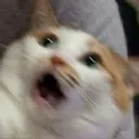 altmndz