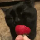 ispilledmilkonthefloor_26919 avatar