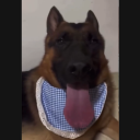 avatar kokoslecker69