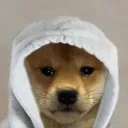 xdulost
