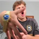gebradegans