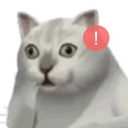 sanctus847770's Avatar