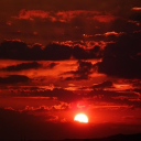 avatar Daon ♡ 🌻🌞