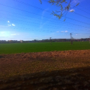 avatar 𝓝𝓪𝓽𝓴 🎰