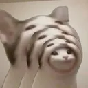 pwntime2