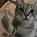 hasan_kr47