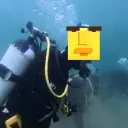 datducky_