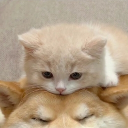 avatar 𝐌 𝐈 𝐃 𝐎 <3