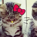 avatar ᶻ 𝗓 𐰁𝒜𝓃𝑔𝟑𝓁.ᐟ♰