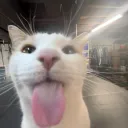 graceisverysilly