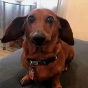 Аватар m0rfim.