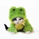 finalfrog