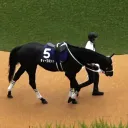 squarezaki