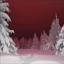 avatar Potis ᵉᵍᵍ