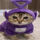 xysui.