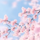 recent_lake#0 avatar