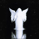 avatar ¸.·.•⍣✩⋆ 𝕽𝖔𝖏𝖉𝖆 ⋆✩⍣•.·.¸