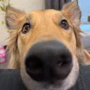 skibbitybeebopp_01207