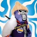 pantherz_yt