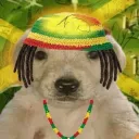 Аватар professor_pasinok