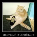 Аватар im10.y_02400