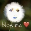 ✮⋆˙ ᴷᵃᵗᶻᵉ ≽^• ˕ • ྀི≼'s Discord avatar