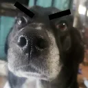 raymonkeh