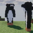 jorbays