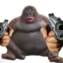 augiethecoolest avatar