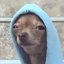 avatar BananierMaster