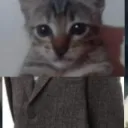 xxmarcosxx_86438 avatar