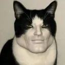 luxeraonalt