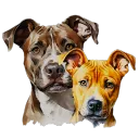 roscoenstella