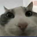 ivanb0085