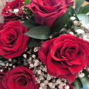 avatar La RuBBeR🌹🌹